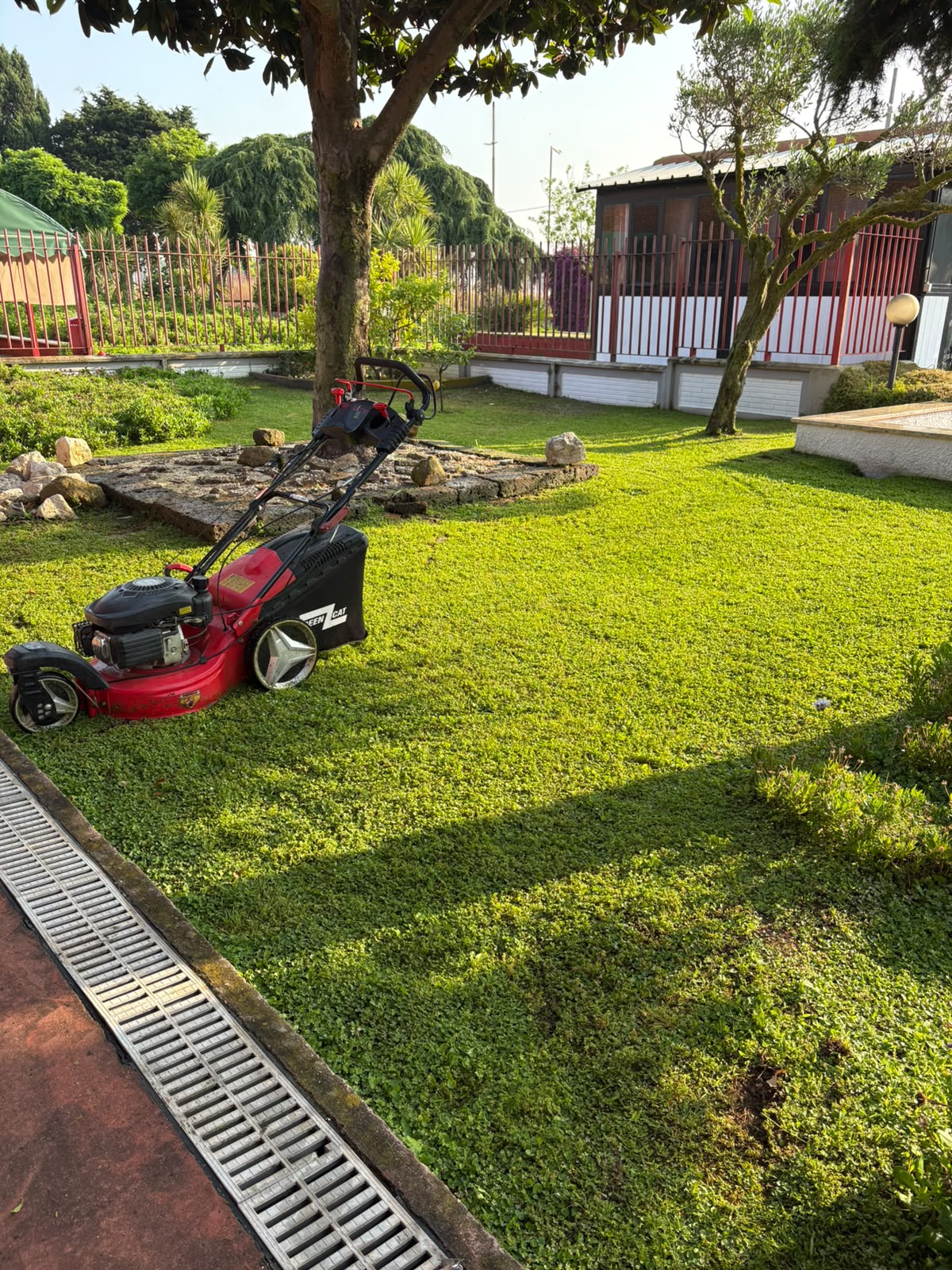Manutenzione programmata del giardino